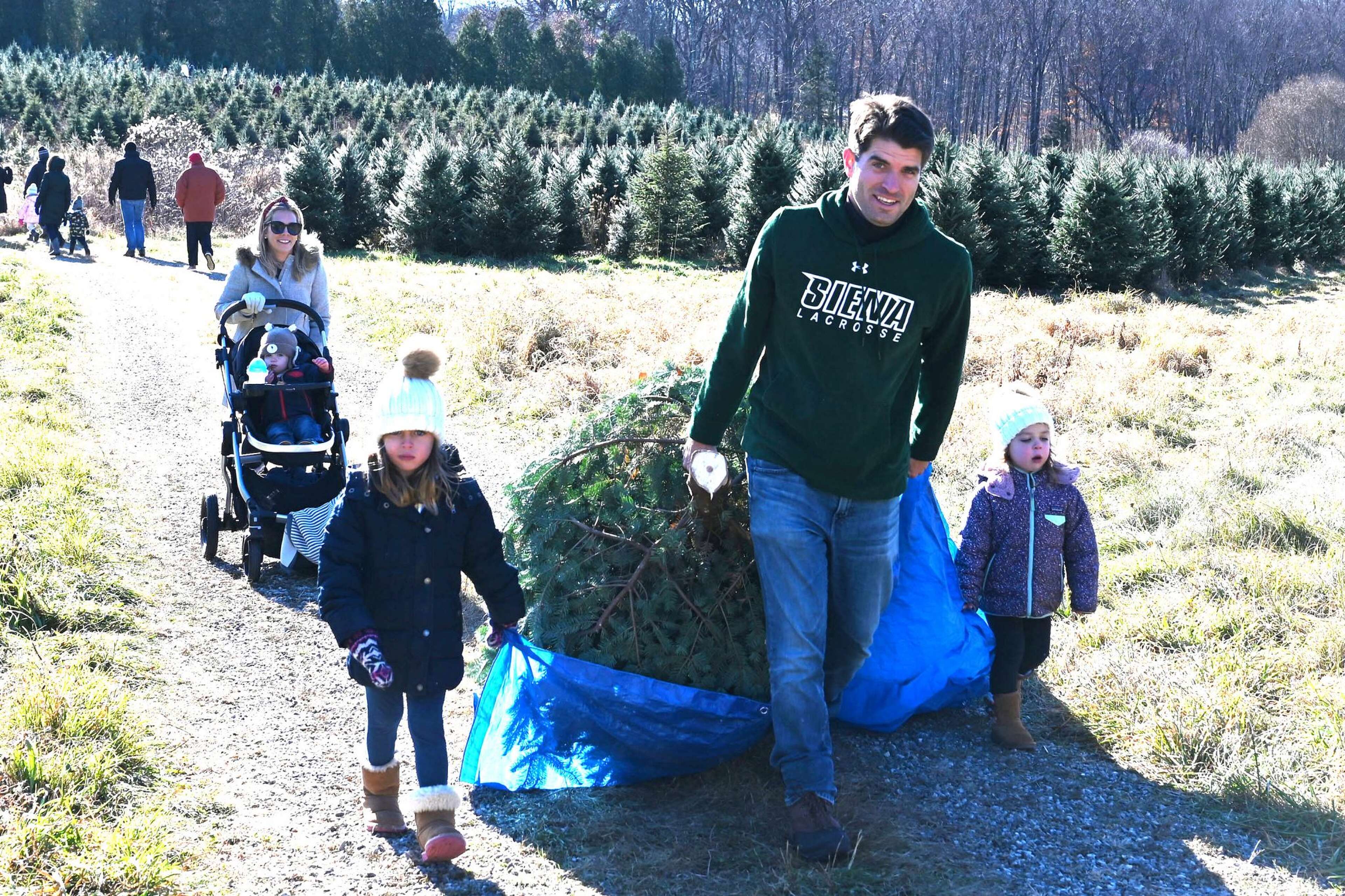 The ultimate guide to cutting your own Christmas tree in the Capital Region