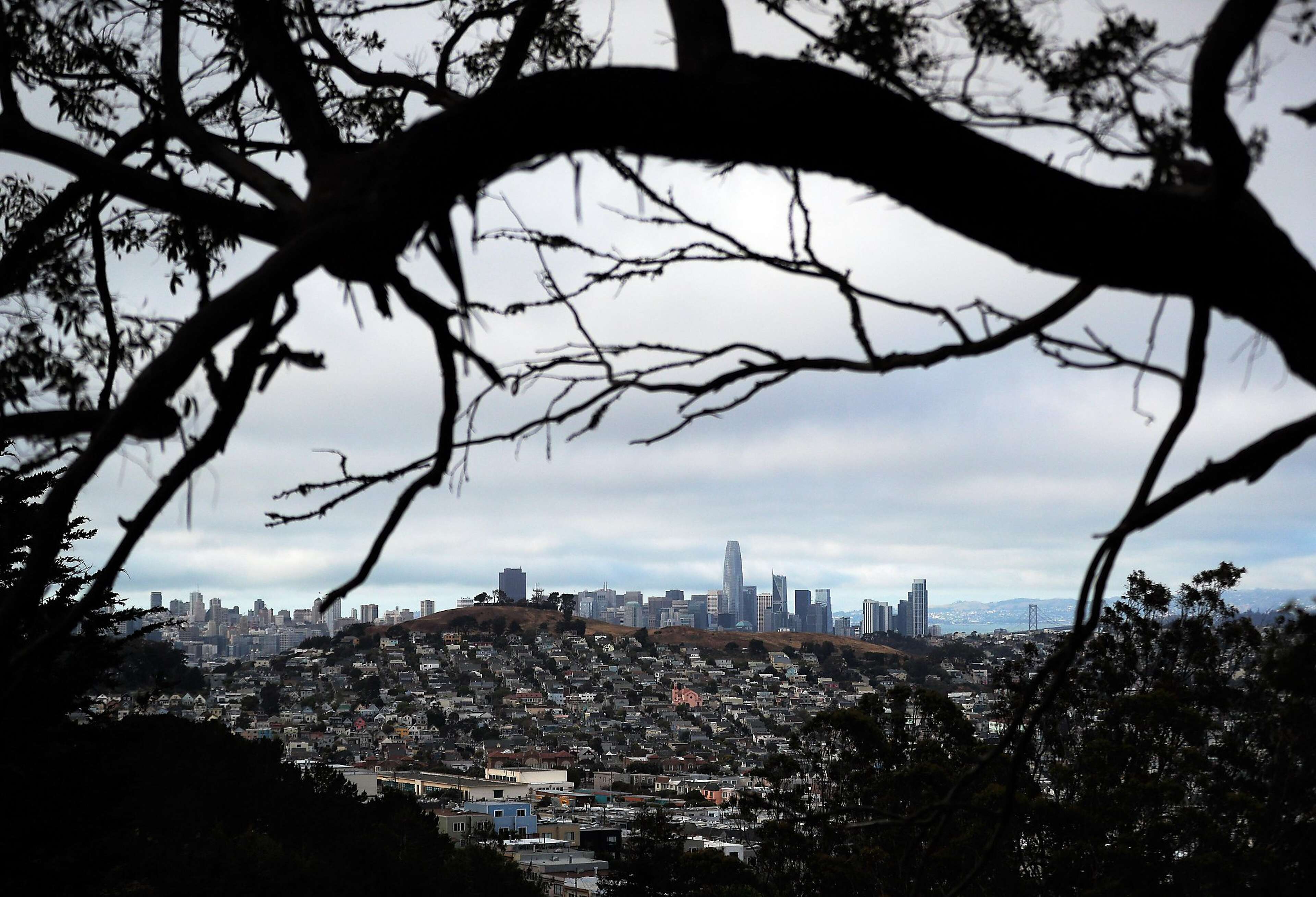 32 San Francisco things everyone must do in 2022