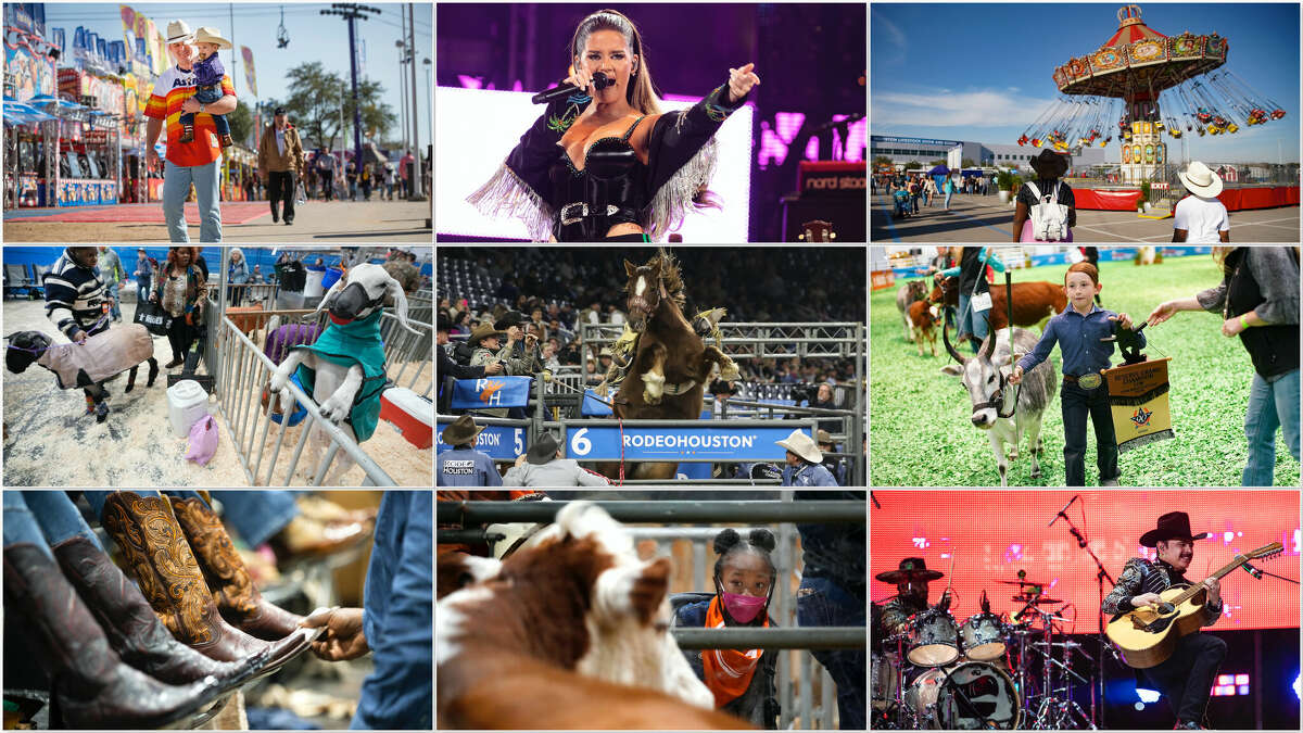 Best photos and video from the 2022 Houston Livestock Show and Rodeo