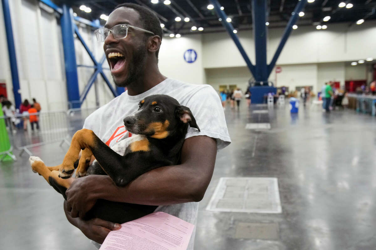 Houston's mega pet adoption event is on. Here's how the numbers stack