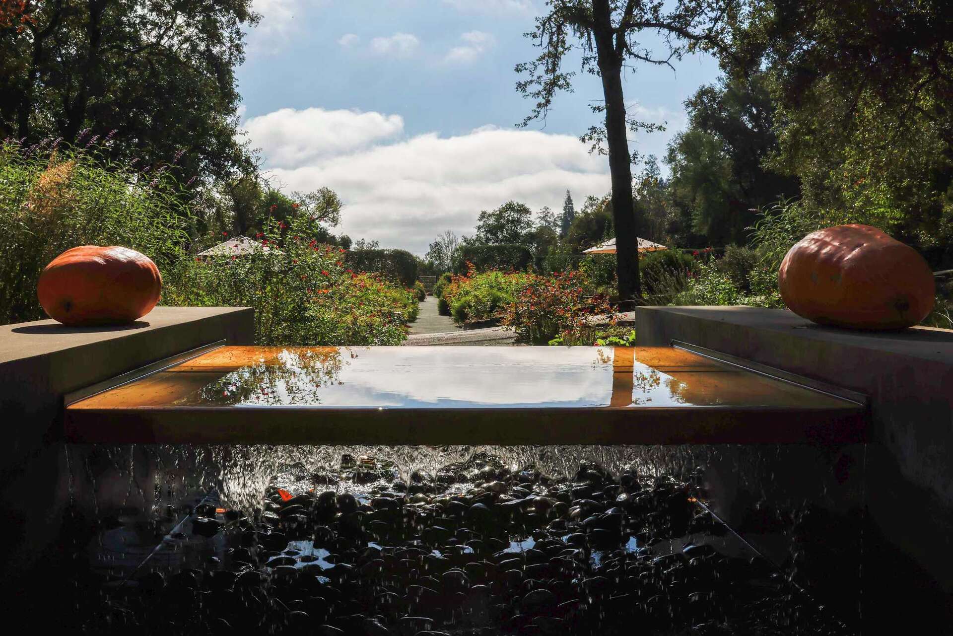 The most beautiful wineries in Napa and Sonoma