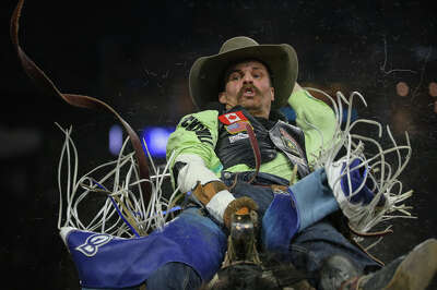 A man with a large mustache and cowboy hat holds onto the top of an animal as tassles from his chaps fly into the air around him along with other various dust and detritus.