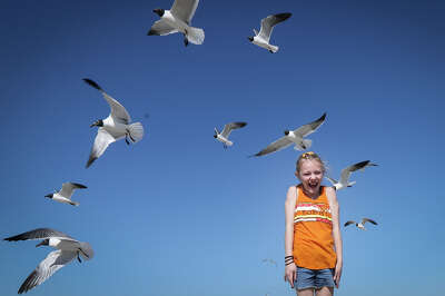 A girl in an orange tanktop exclaims in surprise, arms straight to her sides, as a flock of seagulls fly around her against a clear, blue sky