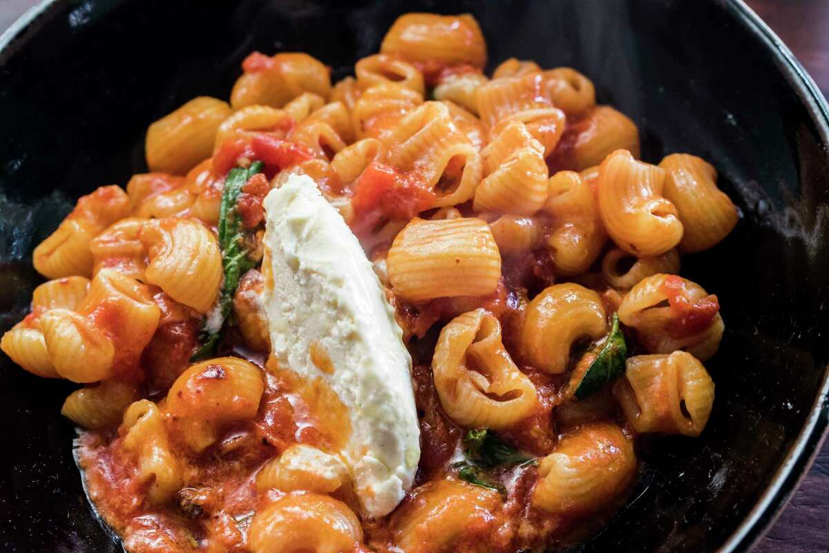 Short pasta in tomato sauce with ricotta