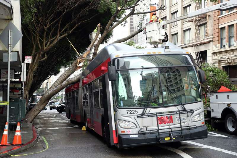 San Francisco Public Works crew members remove a tree that fell on a Muni bus.