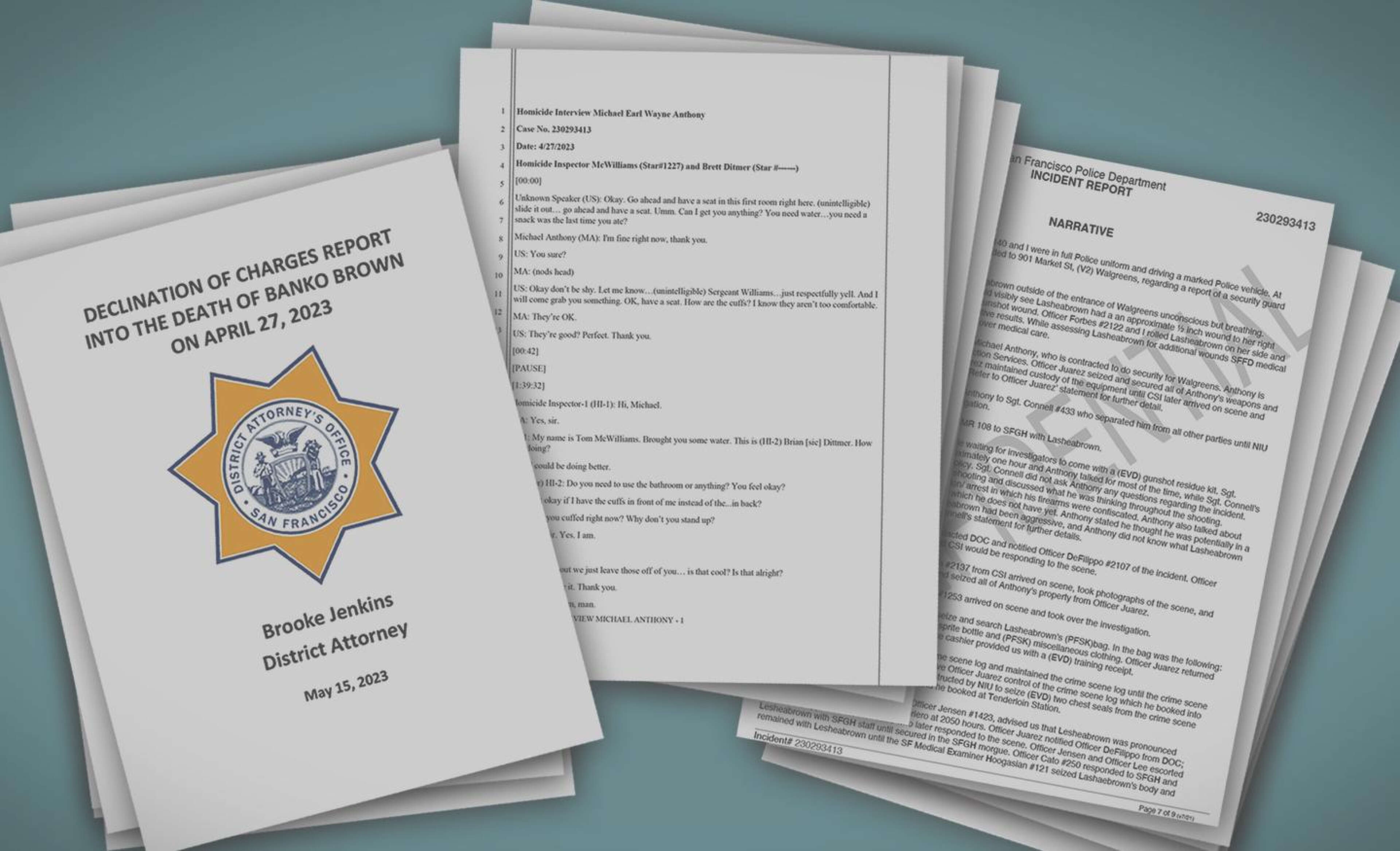 Limerince Documents: Key Revelations