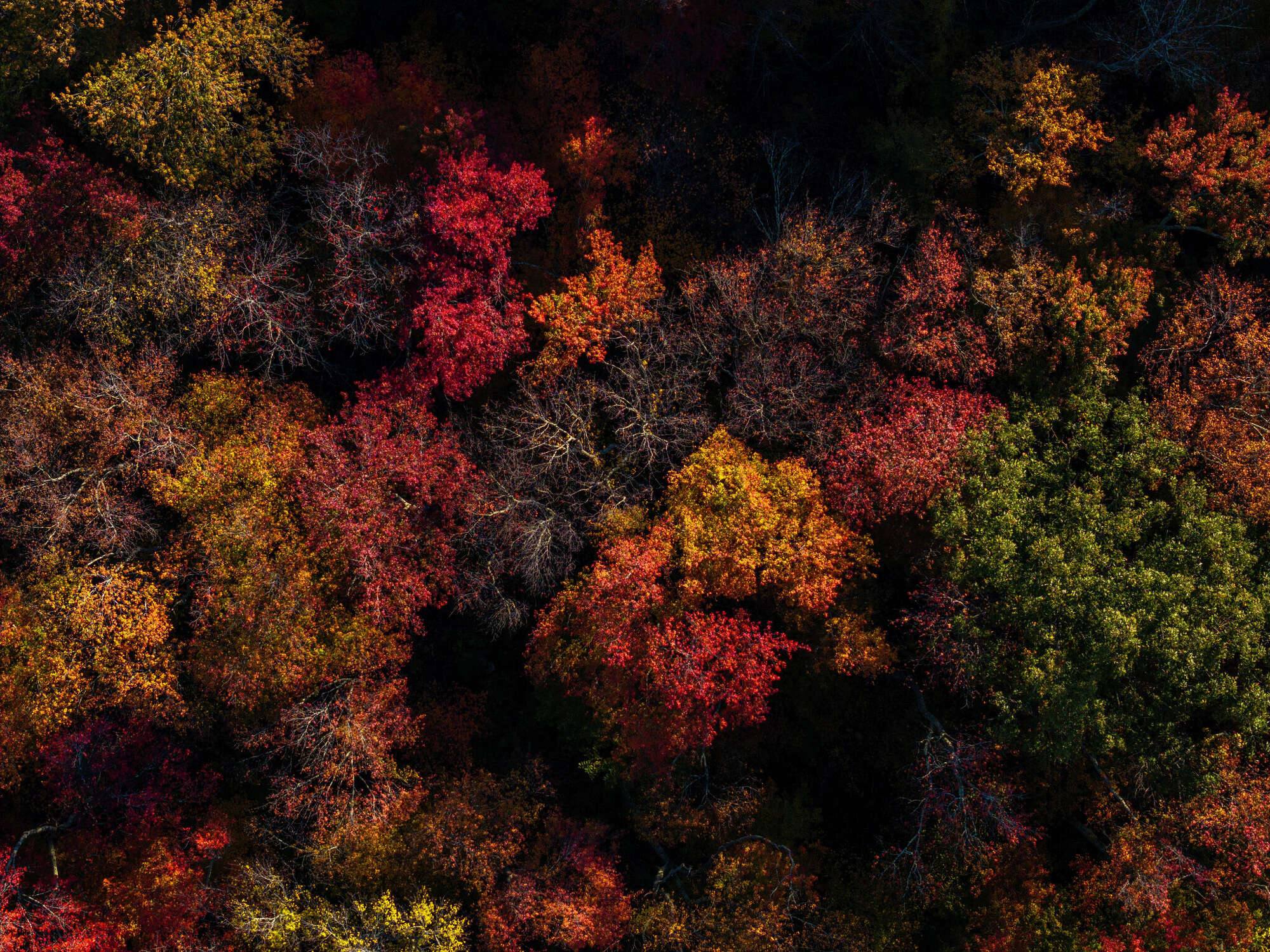 Drone images capture 2024 fall foliage in Connecticut from above