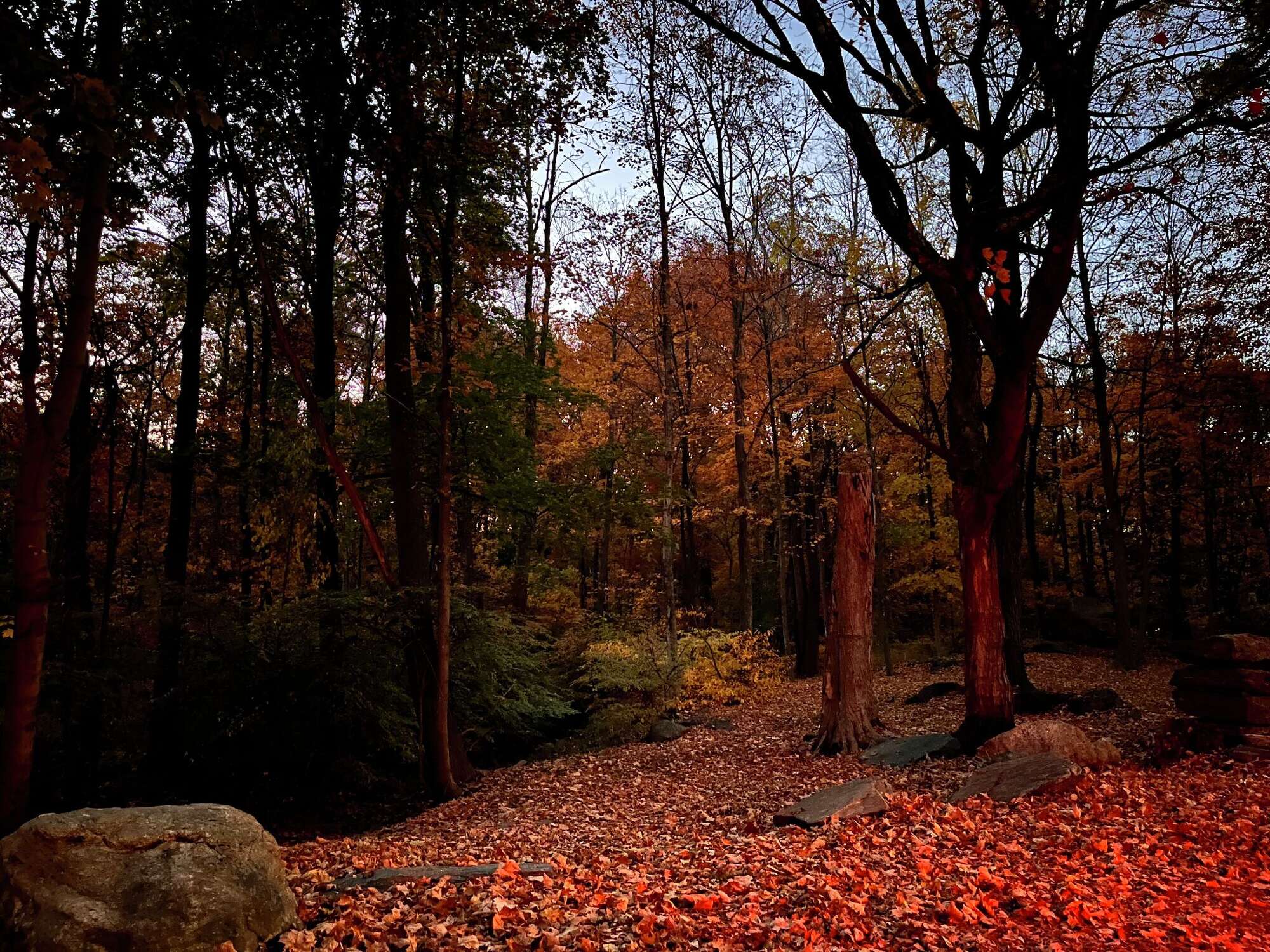 Drone images capture 2024 fall foliage in western Connecticut from above