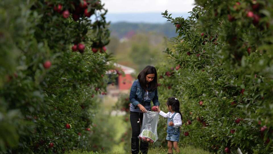 These are the best apple orchards near the Capital Region