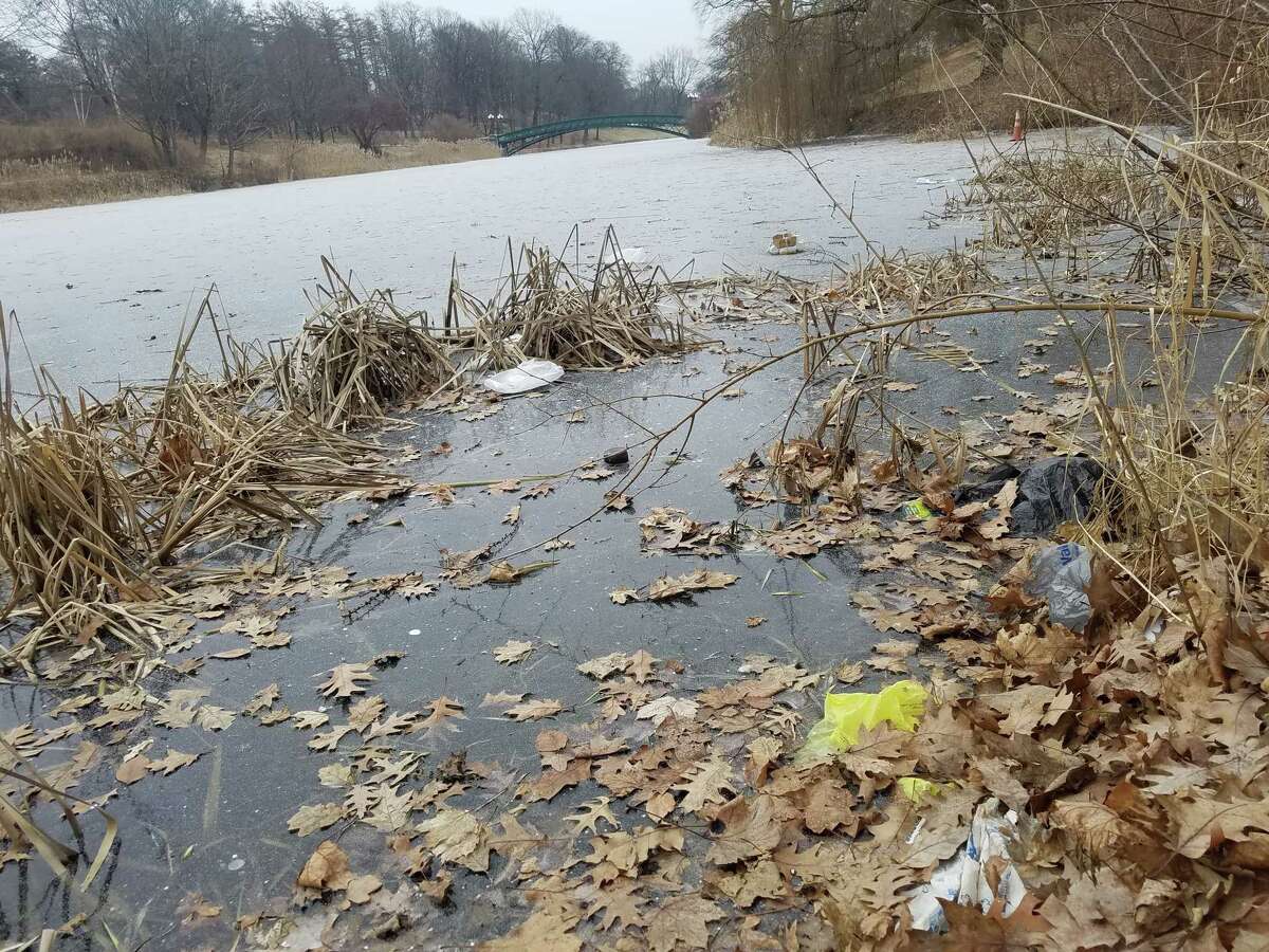 Plastic bags stuck in the ice at Washington Park Lake in Albany. Gov. Andrew Cuomo is proposing to ban plastic bags.