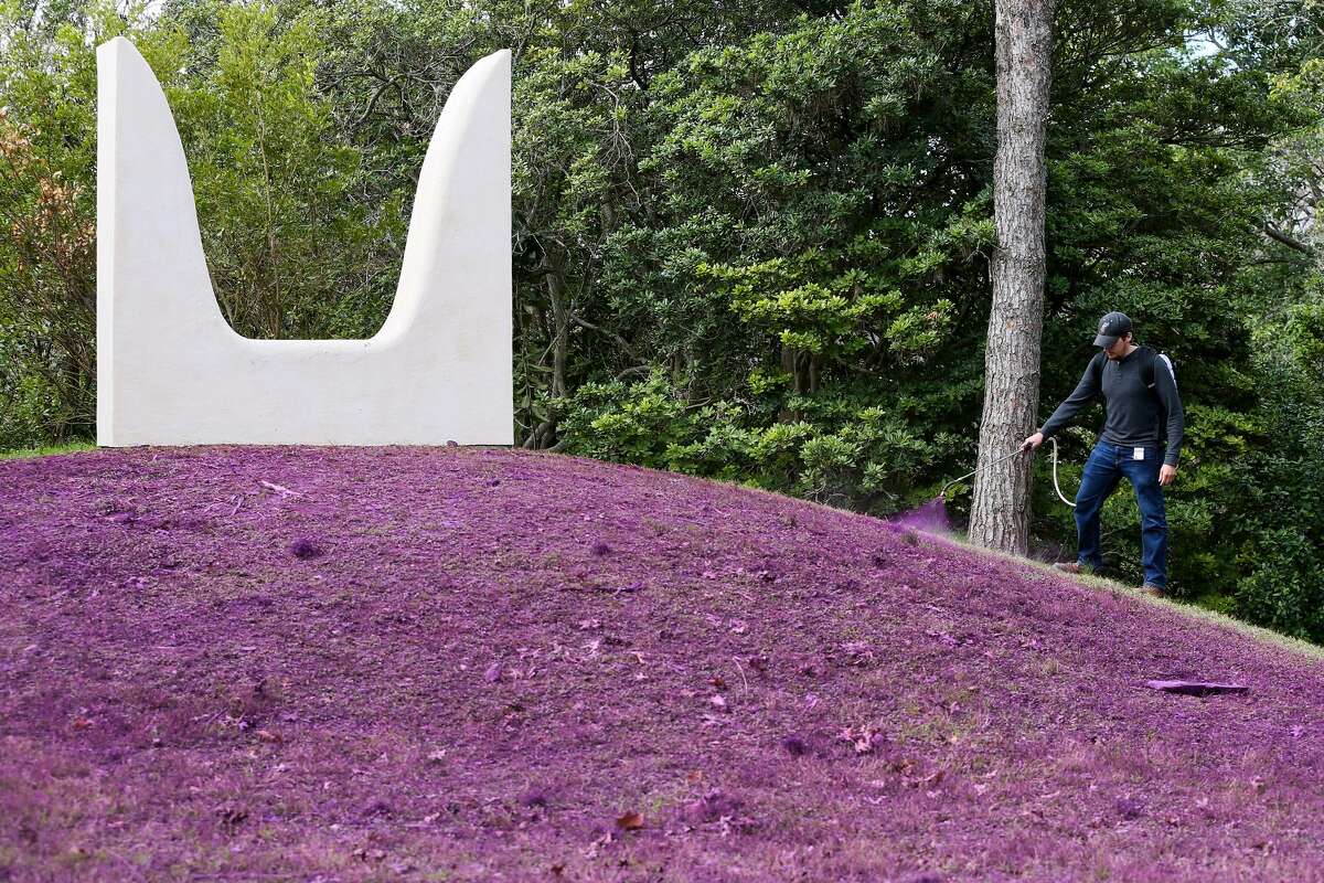 Anastasia Pelias' installation "mama" includes an expanse in front of a sculpture painted kimono violet, a custom color.
