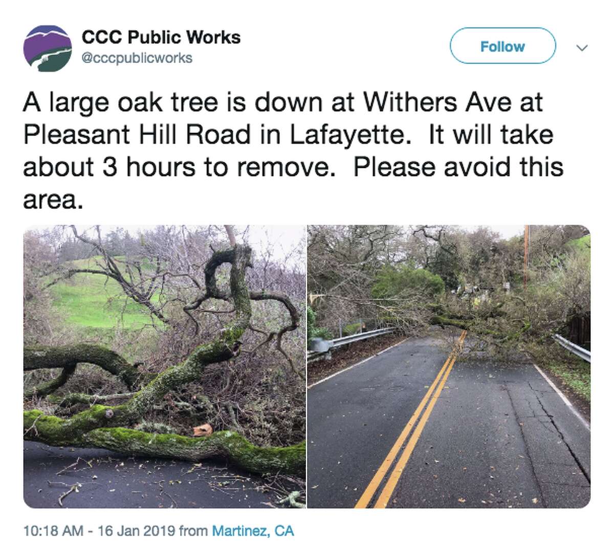 CCC Public works tweeted photos of an oak tree down at Withers Ave at Pleasant Hill Road in Lafayette on Jan. 16, 2019. The area should be avoided.