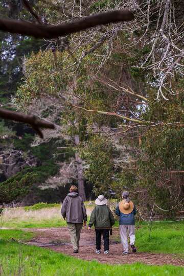 California S Most Famous Butterfly Nearing Death Spiral