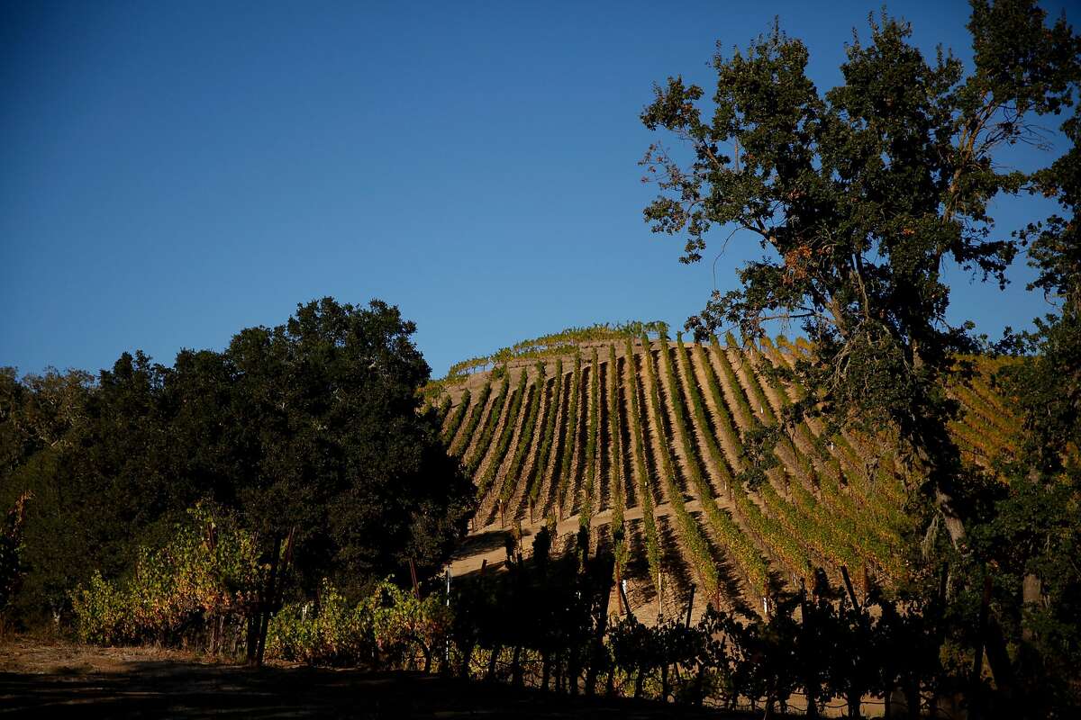 The vineyards at Seavey Vineyard in St. Helena, Calif., on Monday, October 12, 2015.