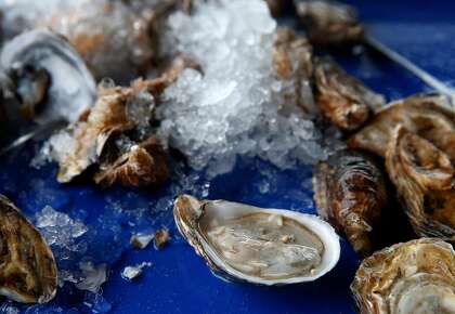 Hog Island Oyster Co To Open New Restaurant In Larkspur