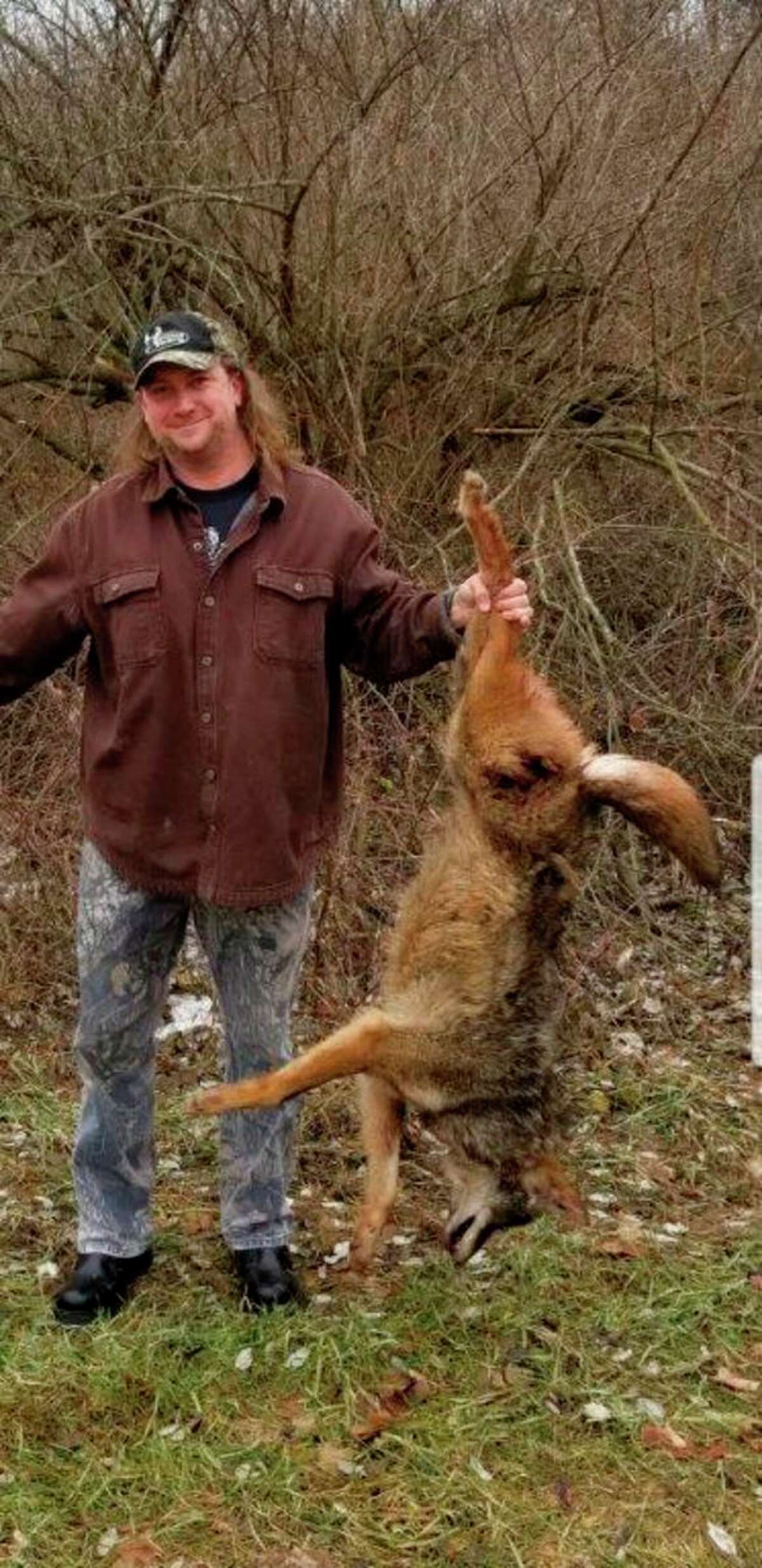 Don Burnette of Cass City recently shot this large male coyote while on a 'coyote drive' with friends in the Thumb. He shot the running coyote with his Ruger .204 bolt-action rifle. (Photo submitted by Don Burnette)