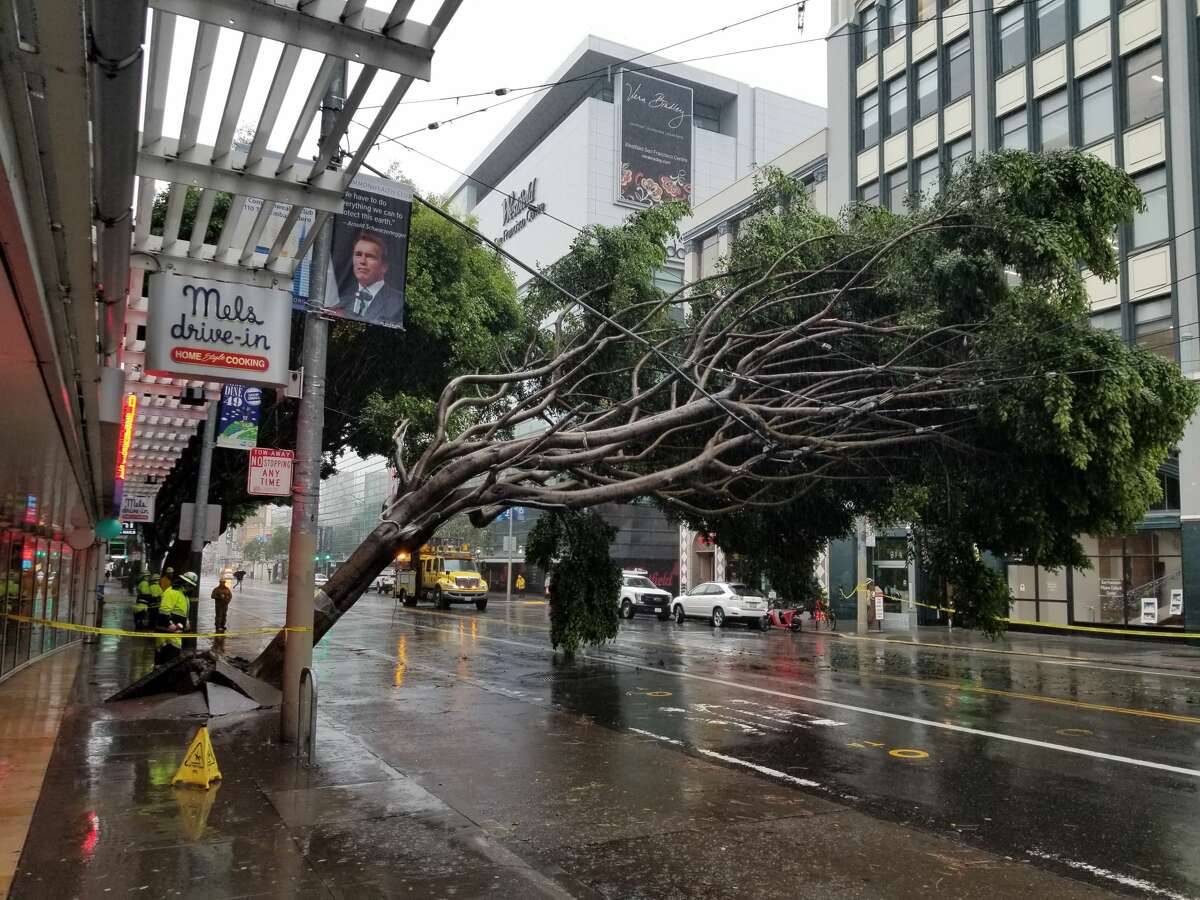 Workers inspect damage after a large tree fell on Muni lines on Mission St. near 4th St. in San Francisco on Thursday, Jan. 17, 2019.
