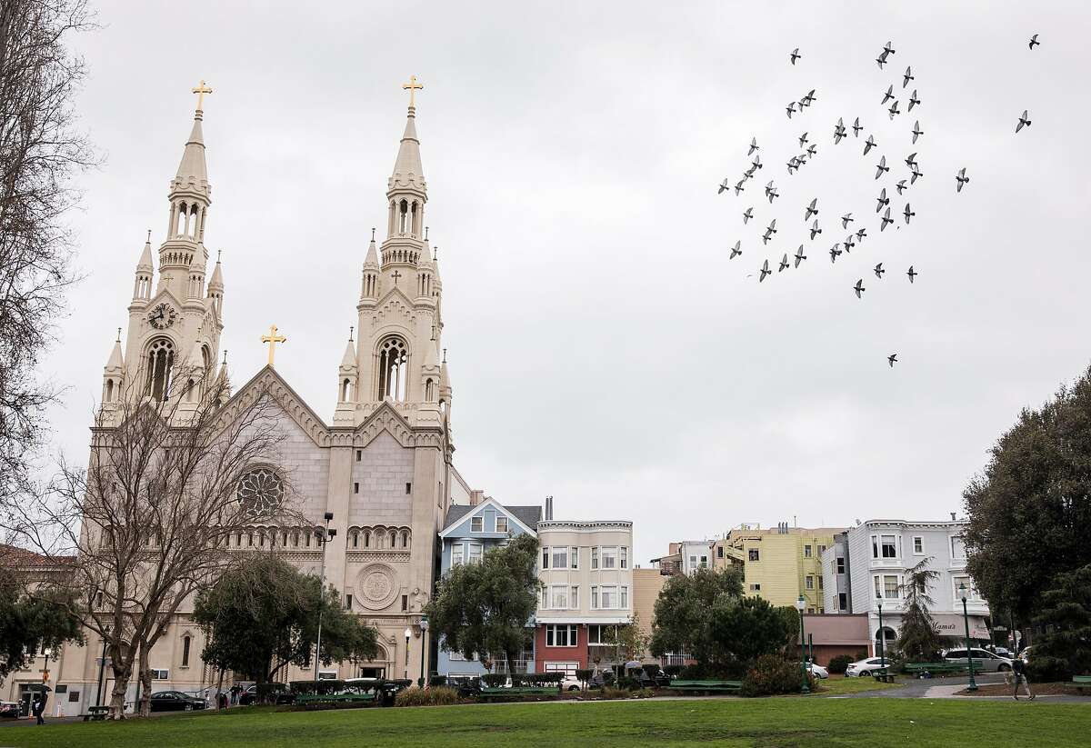Birds fly past Saints Peter and Paul Church across from Washington Square Park in the North Beach neighborhood of San Francisco, Calif. Saturday, Jan. 5, 2019.