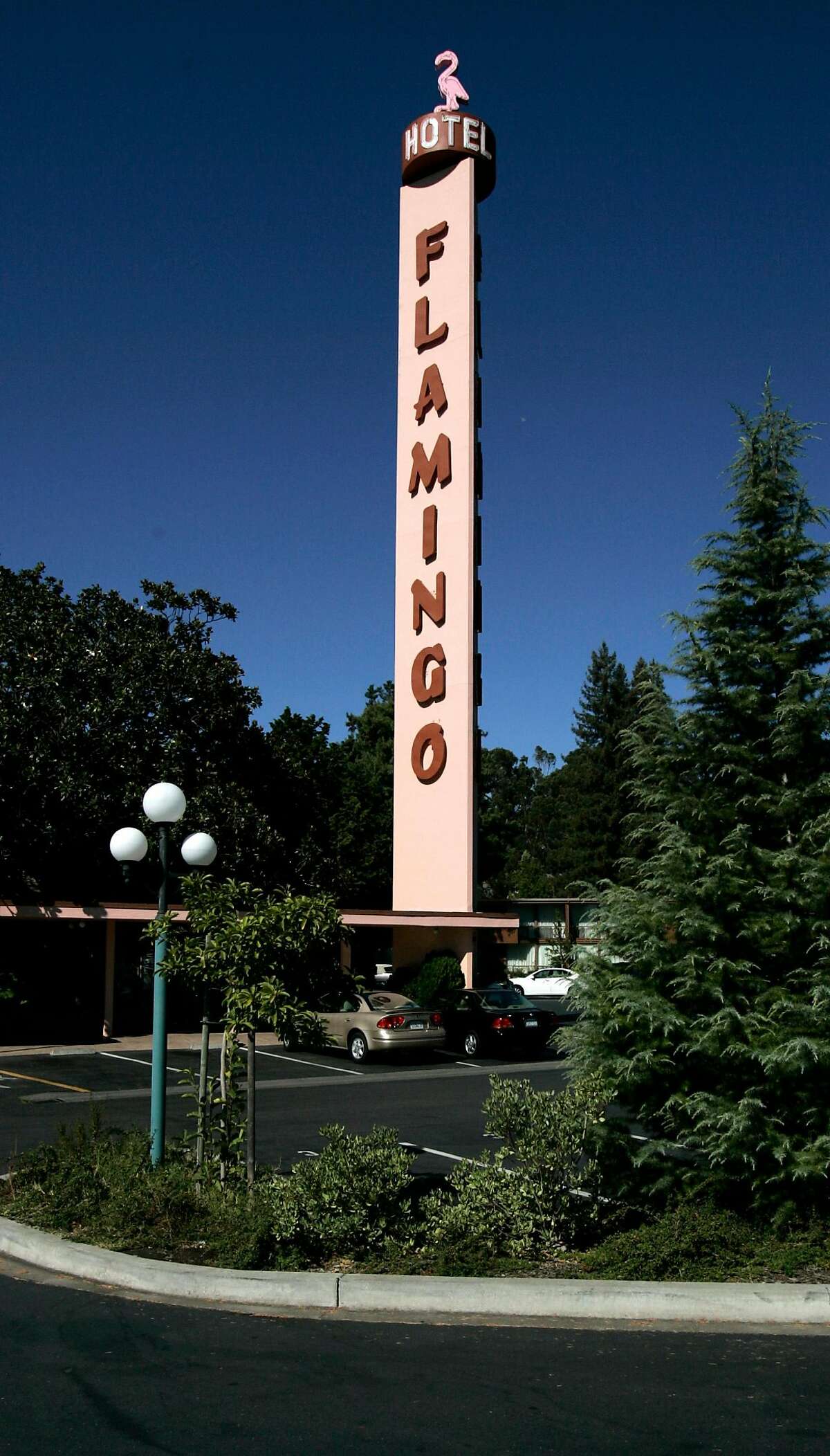 flamingo hotel santa rosa history