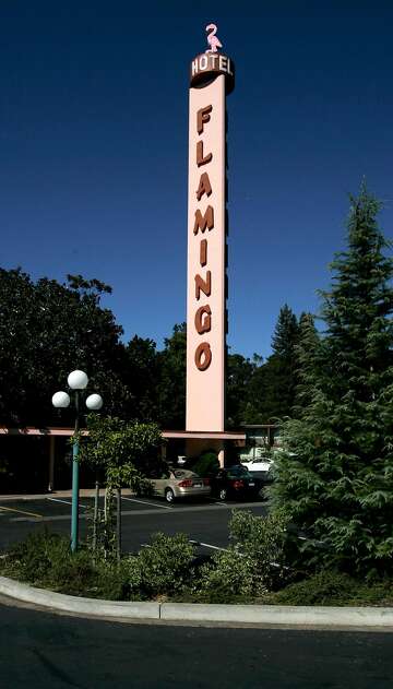 flamingo hotel santa rosa