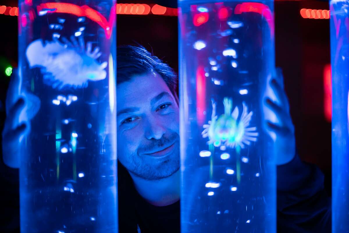 Andrew McClintock poses with the fish decorations at EZ5 bar on Saturday, Jan. 19, 2019, in San Francisco, Calif.