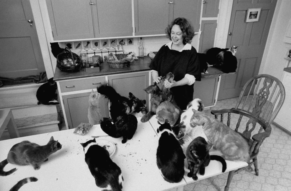Actress Sandy Dennis in the kitchen of her home with some of her cats gathered around her.