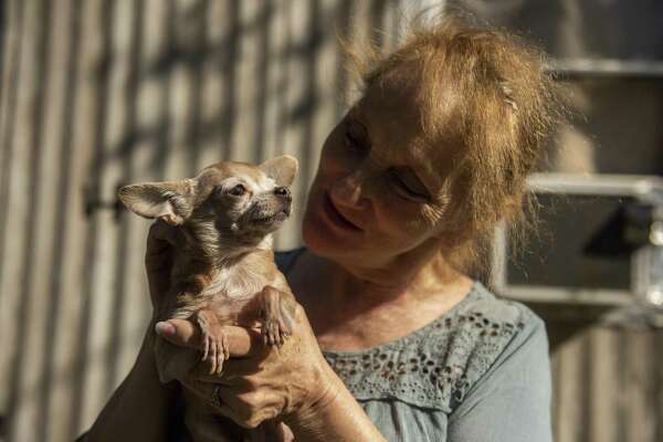 Need For Pet Food Assistance Up In San Antonio Since Government