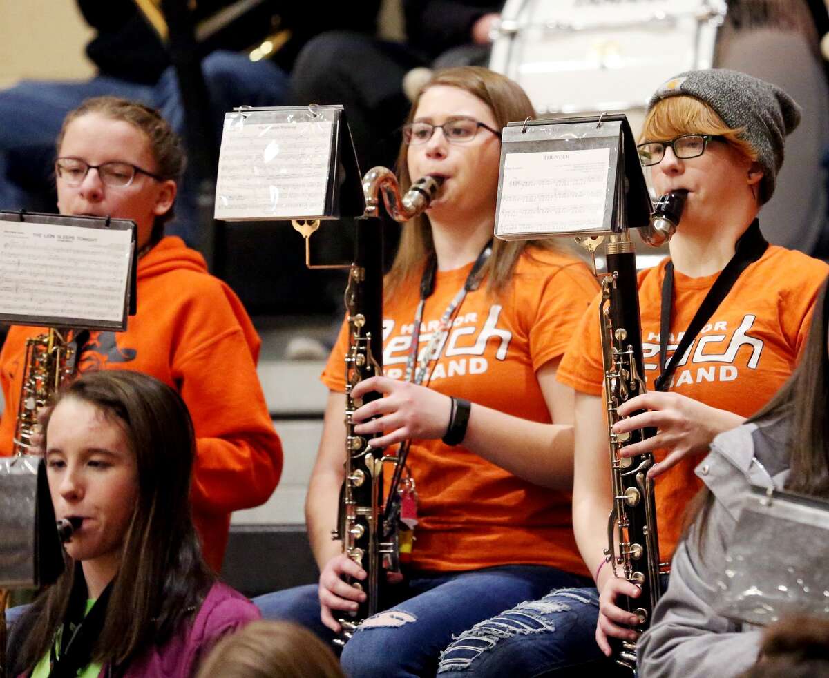 Marlette at Harbor Beach — Girls Basketball
