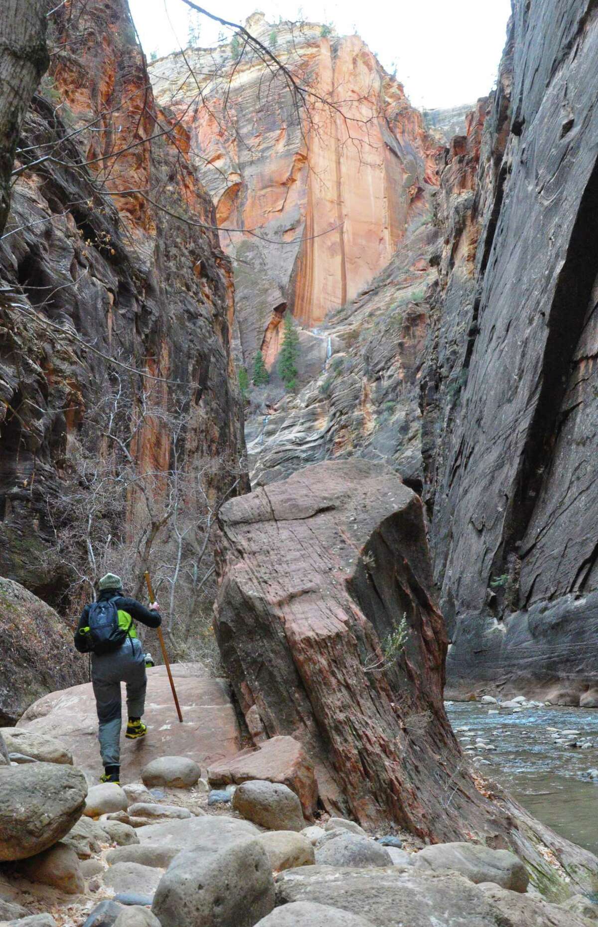Zoe Gutterman surveys the trail through The Narrows in Zion National Park.