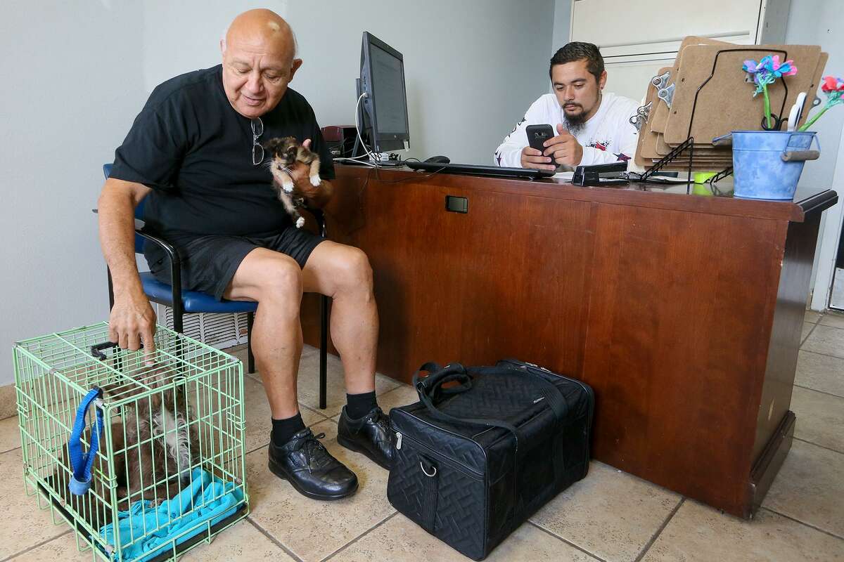 Juan Vasquez (left), with Vun-Veq Rescue, tends to Coco, a two-year-old terrier mix while holding one of two kittens that he also brought to the the Kirby-Bexar Animal Facility, 5503 Duffek Dr. in Kirby, for heartworm checks as Bexar County Animal Control officer Brandon Hollenbeck sits behind the desk on Wednesday, Aug. 2, 2017. MARVIN PFEIFFER/ mpfeiffer@express-news.net