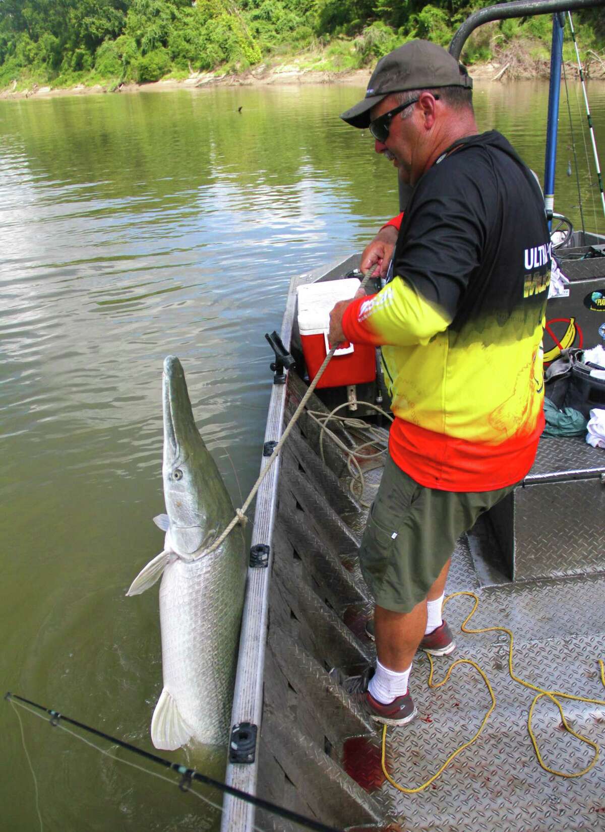 Houston Area Teen Catches 7 Foot 190 Pound Alligator Gar Just Outside