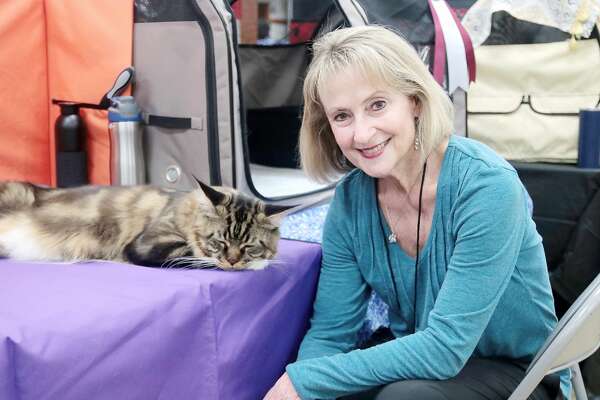Cats Descend On Deer Park For Annual Gulf Coast Feline Foundation