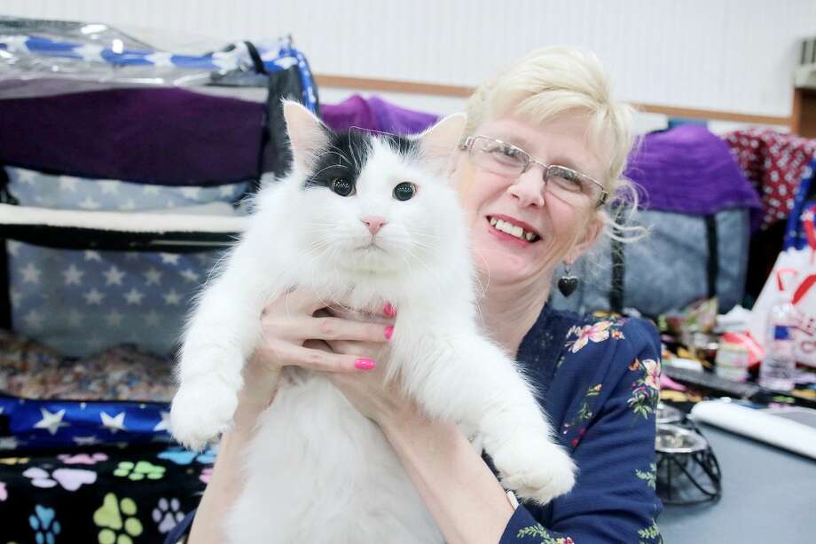 Cats Descend On Deer Park For Annual Gulf Coast Feline Foundation