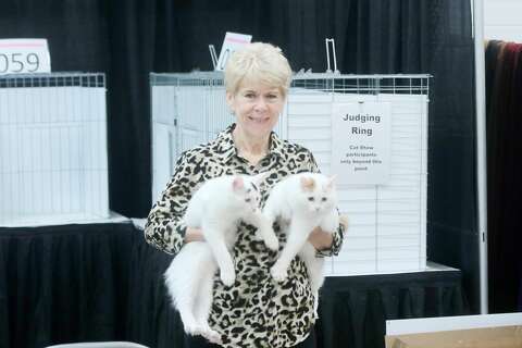 Cats Descend On Deer Park For Annual Gulf Coast Feline Foundation
