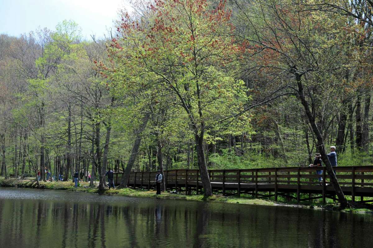 Wolfe Park taking picnic reservations