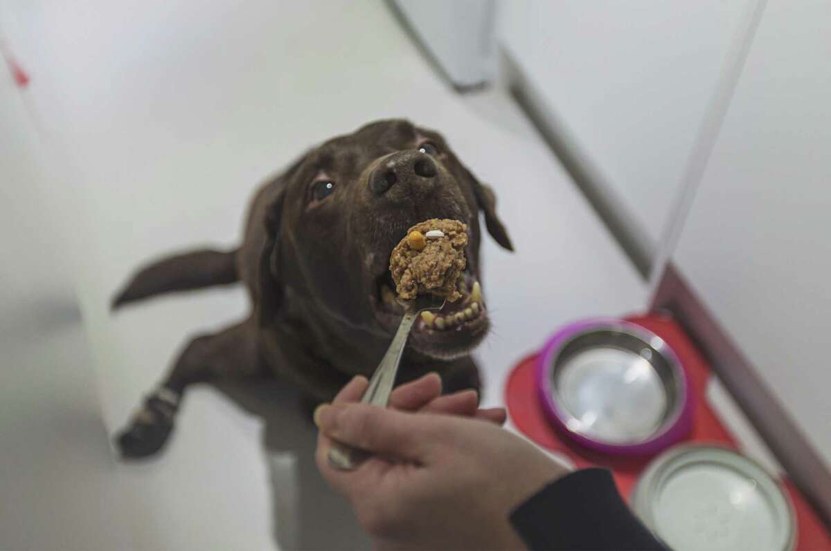 The easiest way to give a dog a pill