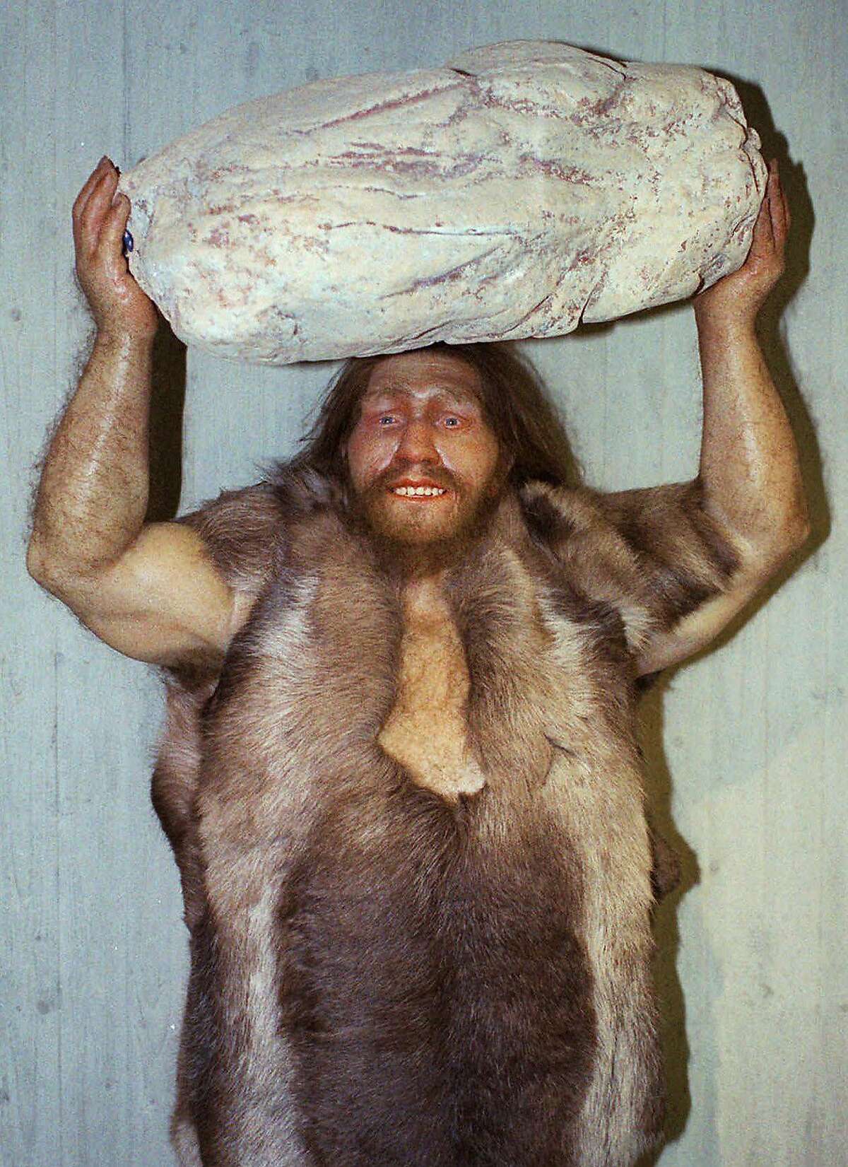 FILE - This Oct. 1996 file photo shows a replica of a Neanderthal man at the Neanderthal museum in Mettmann, western Germany. Next time you call someone a Neanderthal, better look in a mirror. Much of the genes that help determine most people’s skin and hair are much more Neanderthal than not, according to two new studies that look at the DNA fossils hidden in the modern human genome. Scientists isolated the parts of the non-African modern human genetic blueprint that still contain Neanderthal remnants. Barely more than 1 percent comes from 50,000 years ago when modern humans leaving Africa mated with the soon-to-be-extinct Neanderthals. (AP Photo/Heinz Ducklau, File)