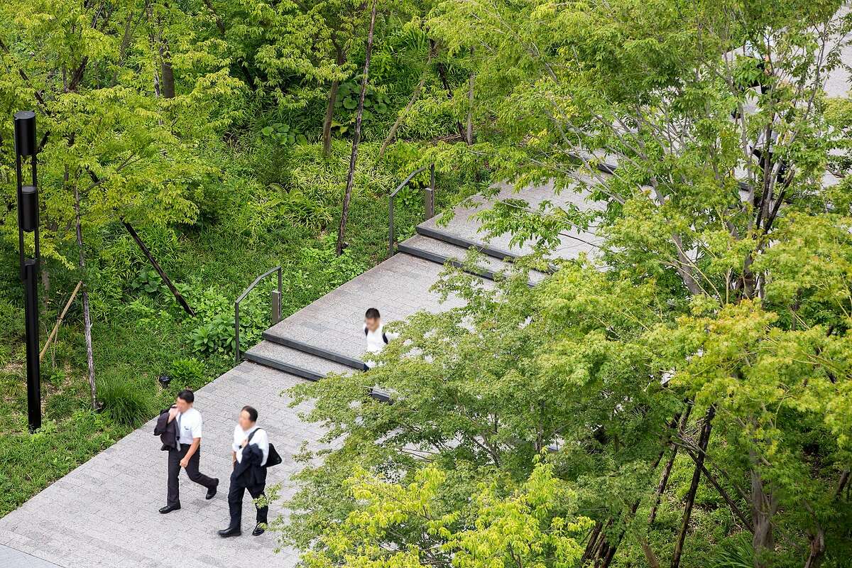 Japanese workers hurry to their offices between sections of Ichigaya Forest, a planting that intends to bring untrammeled native habitat to the heart of Tokyo.