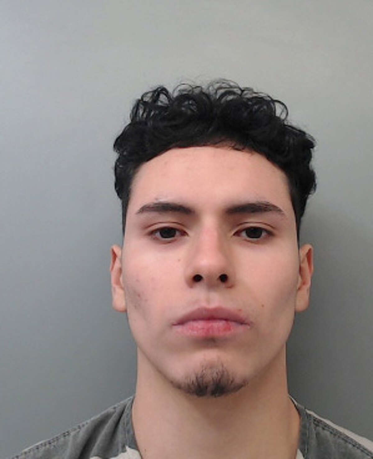Albert Pescador, 17, was charged with burglary.