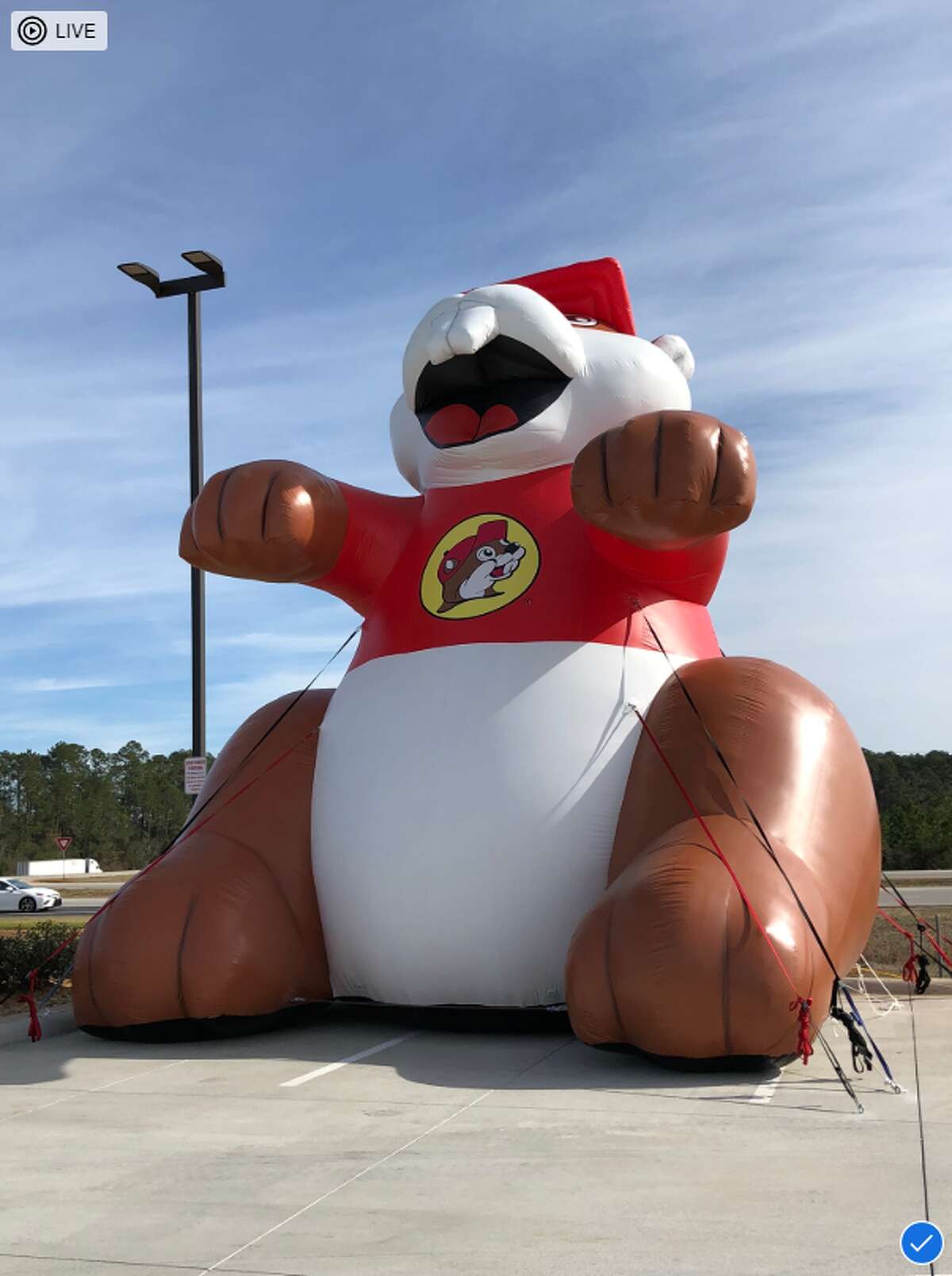 buc ee's social distancing shirt