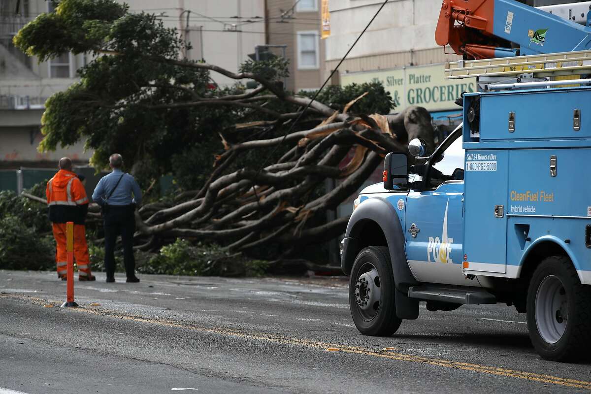 SAN FRANCISCO, CALIFORNIA - JANUARY 17: A Pacific Gas & Electric (PG&E) worker surveys a tree that came down on utility wires on January 17, 2019 in San Francisco, California. PG&E announced that they are preparing to file for bankruptcy at the end of January as they face an estimated $30 billion in legal claims for electrical equipment that might have been responsible for igniting destructive wildfires in California. (Photo by Justin Sullivan/Getty Images)