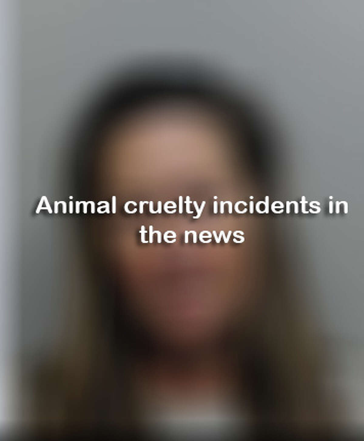 Animal cruelty incidents in the news