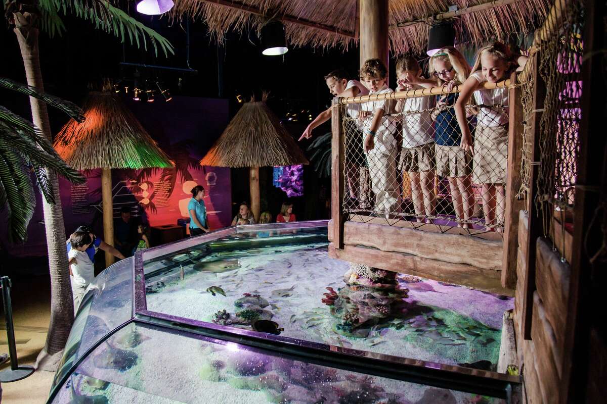 San Antonio's newest aquarium shares construction update