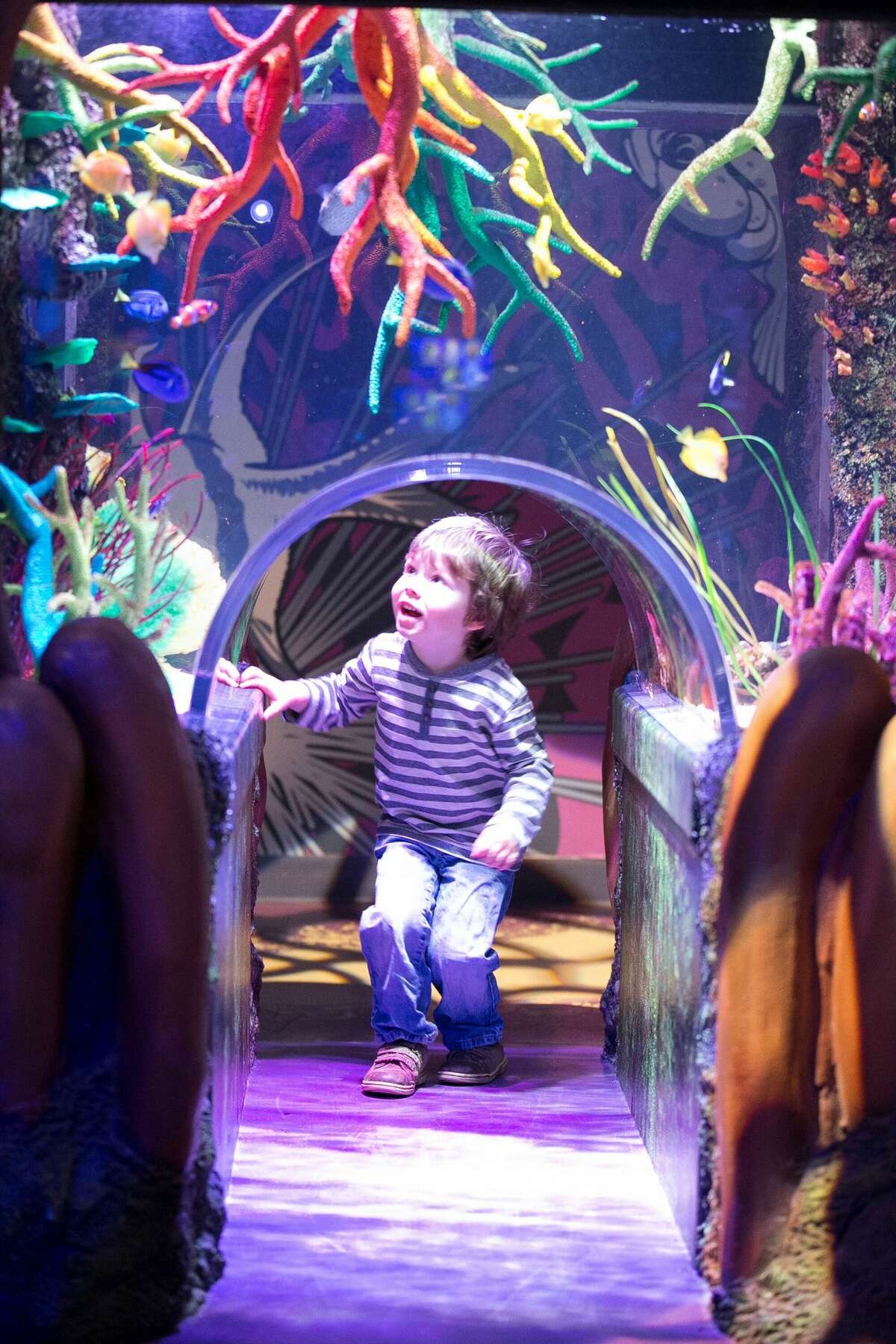 San Antonio's newest aquarium shares construction update