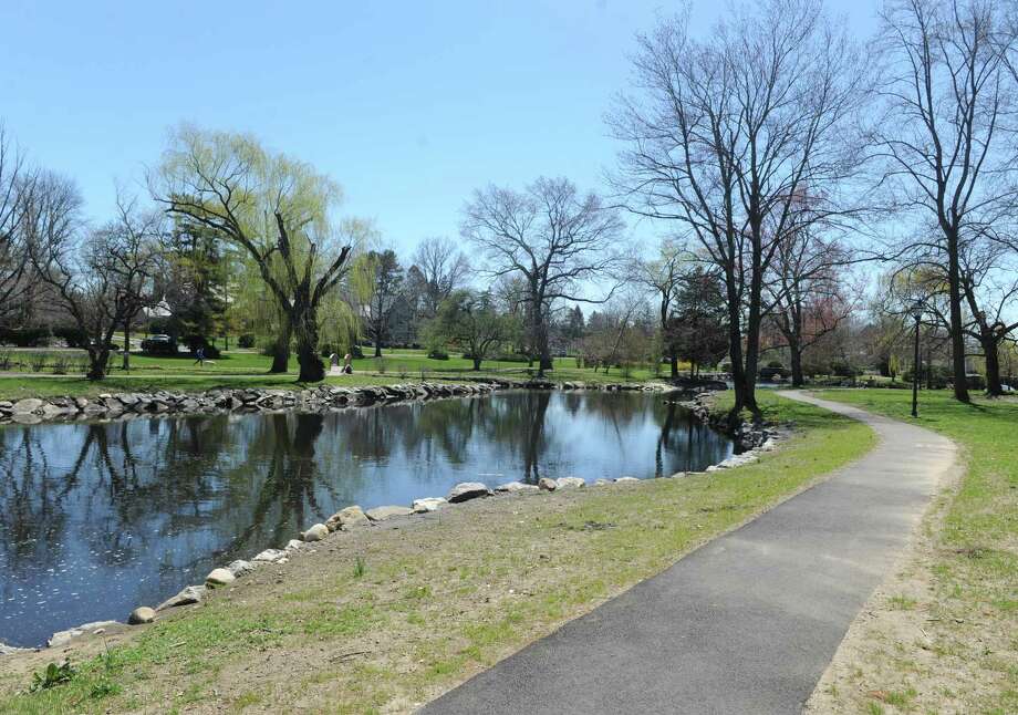 Removing trees from Binney Park, and planning a northwest Greenwich