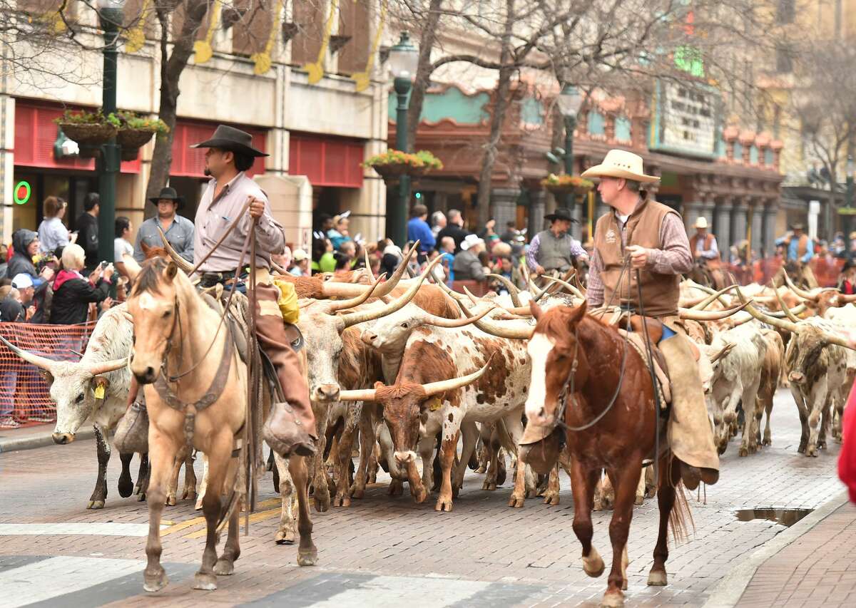 Western Heritage Parade and Cattle Drive kicks off San Antonio Stock