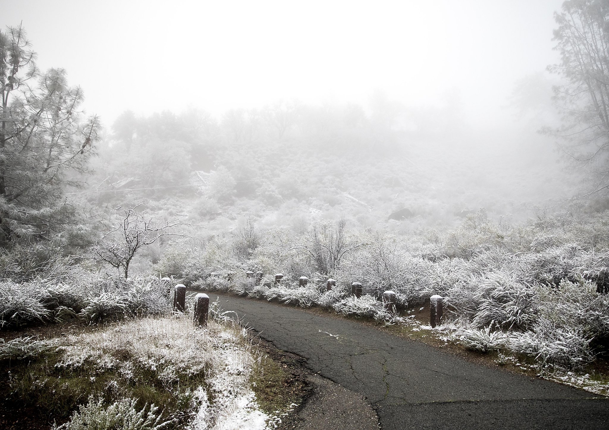 Snow covered’ Bay Area mountains, SF’s Twin Peaks