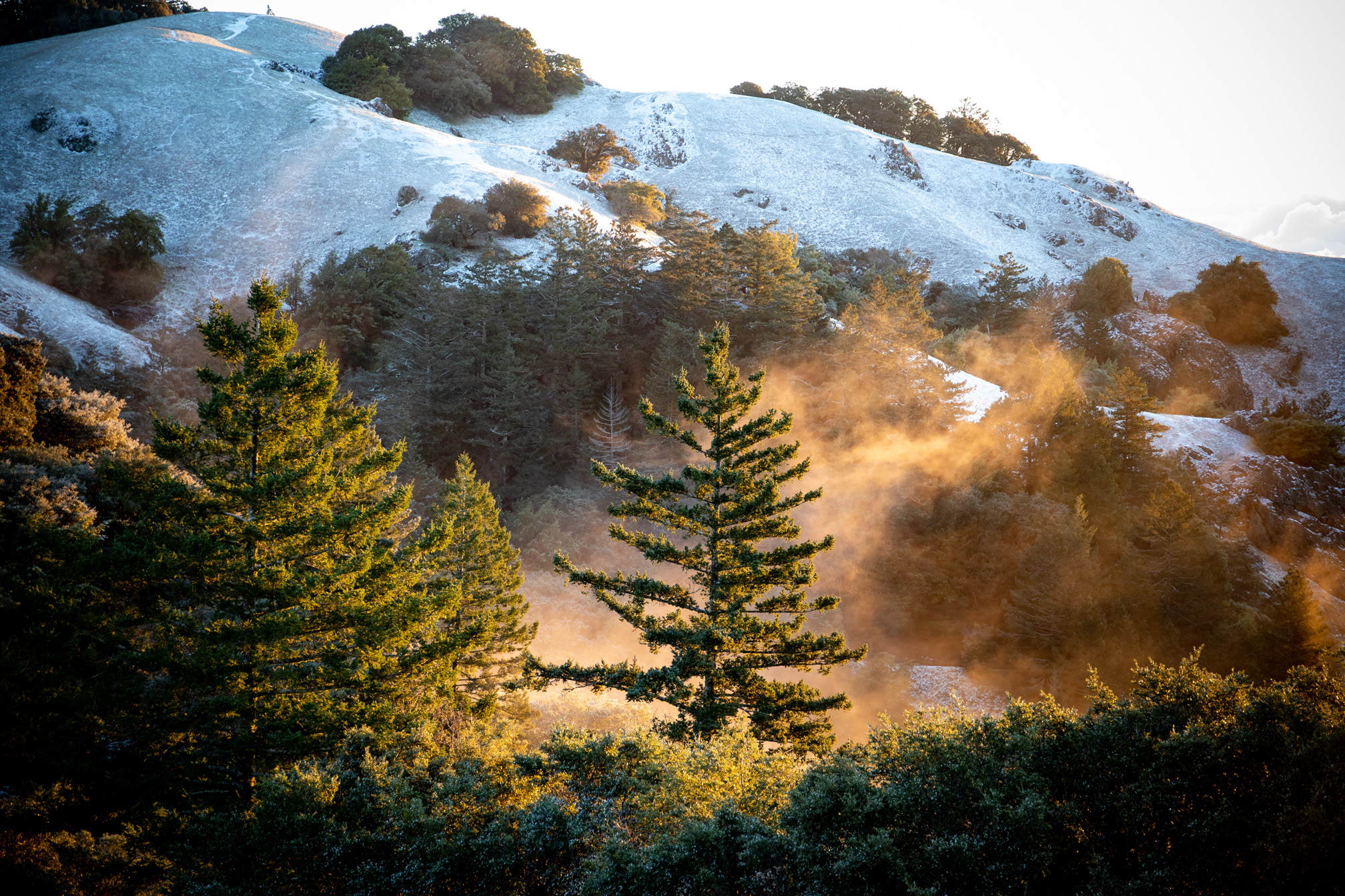 That's not Tahoe Mt. Tam looks like a winter wonderland after snow dusting
