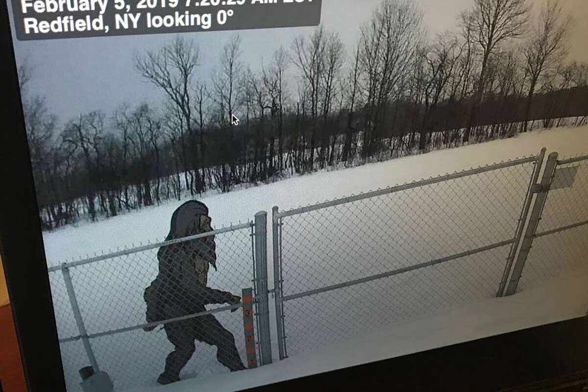 Someone placed a Yeti, or abominable snowman cutout in front of one remote weather station.