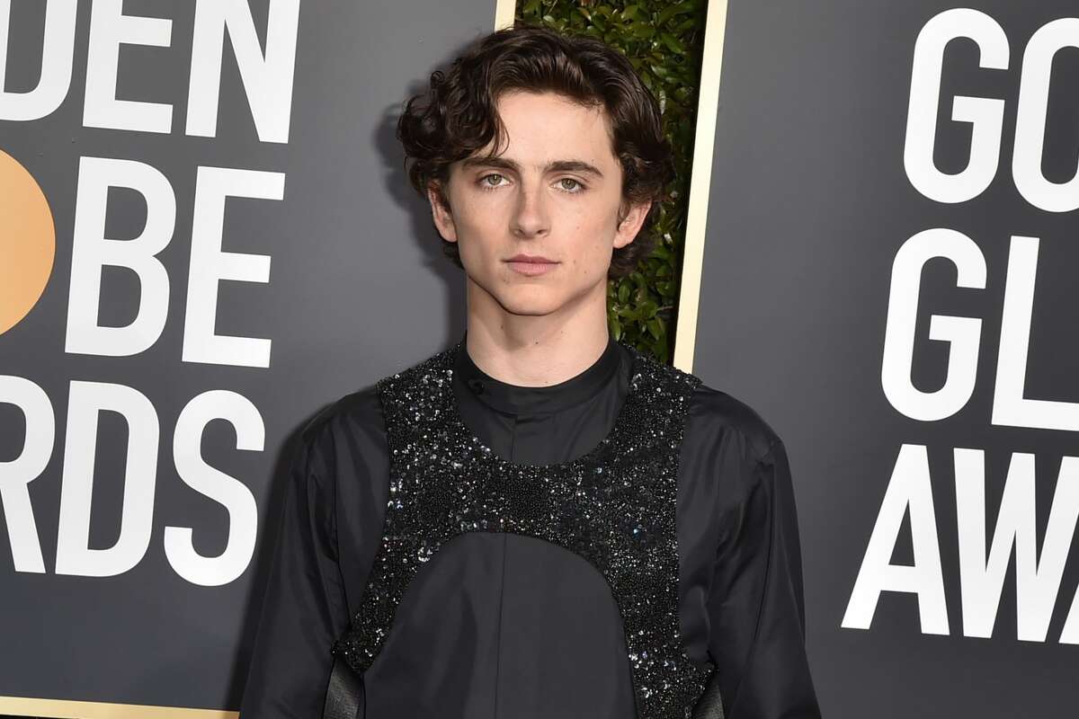 BEVERLY HILLS, CALIFORNIA - JANUARY 06: Timothee Chalamet attends the 76th Annual Golden Globe Awards at The Beverly Hilton Hotel on January 06, 2019 in Beverly Hills, California. (Photo by David Crotty/Patrick McMullan via Getty Images)